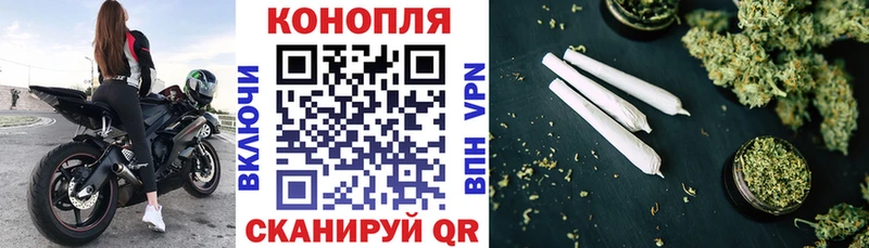 Где найти наркотики Камбарка Псилоцибиновые грибы  АМФ  Мефедрон  КОКАИН  Alpha-PVP  МАРИХУАНА 