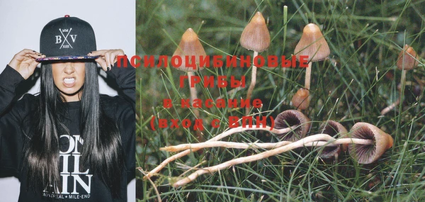 гашик Гусев