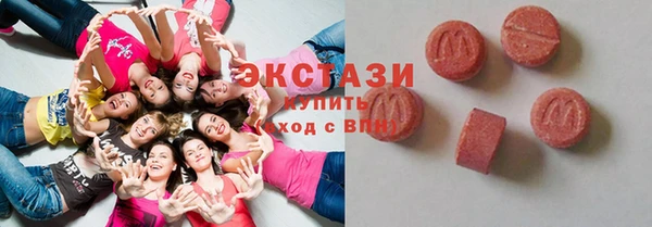 гашик Гусев