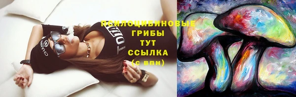 гидропоника Гусиноозёрск