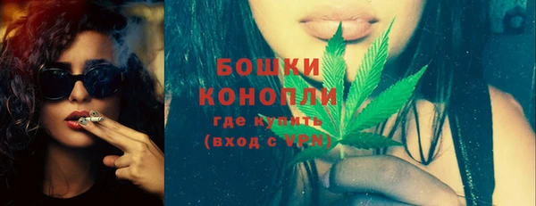гашик Гусев