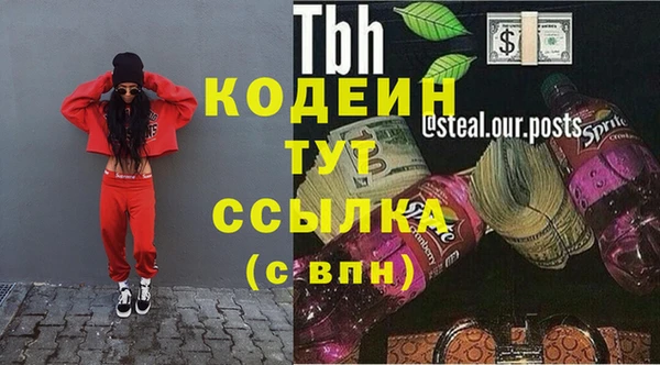 гидропоника Гусиноозёрск