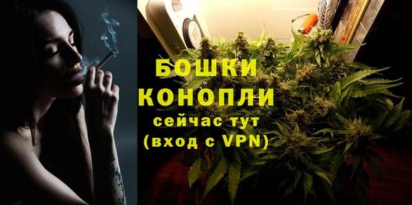 гашик Гусев