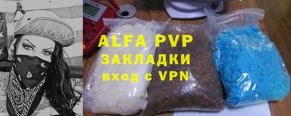 гашик Гусев