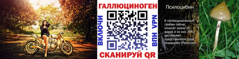 где купить наркоту  Камбарка  Псилоцибиновые грибы мицелий 